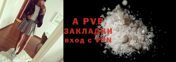 индика Гусиноозёрск
