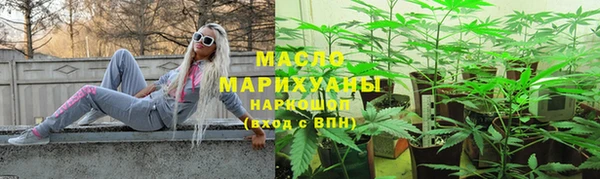 индика Гусиноозёрск