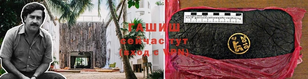 индика Гусиноозёрск
