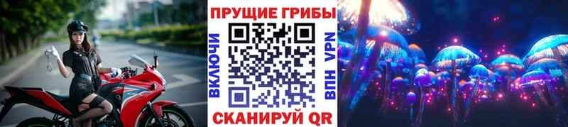 Псилоцибиновые грибы Psilocybine cubensis  Купить закладки  Фрязино 
